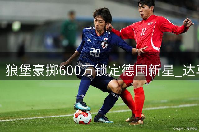 狼堡豪掷600万锁定德国新星 达马尔将成中场新引擎